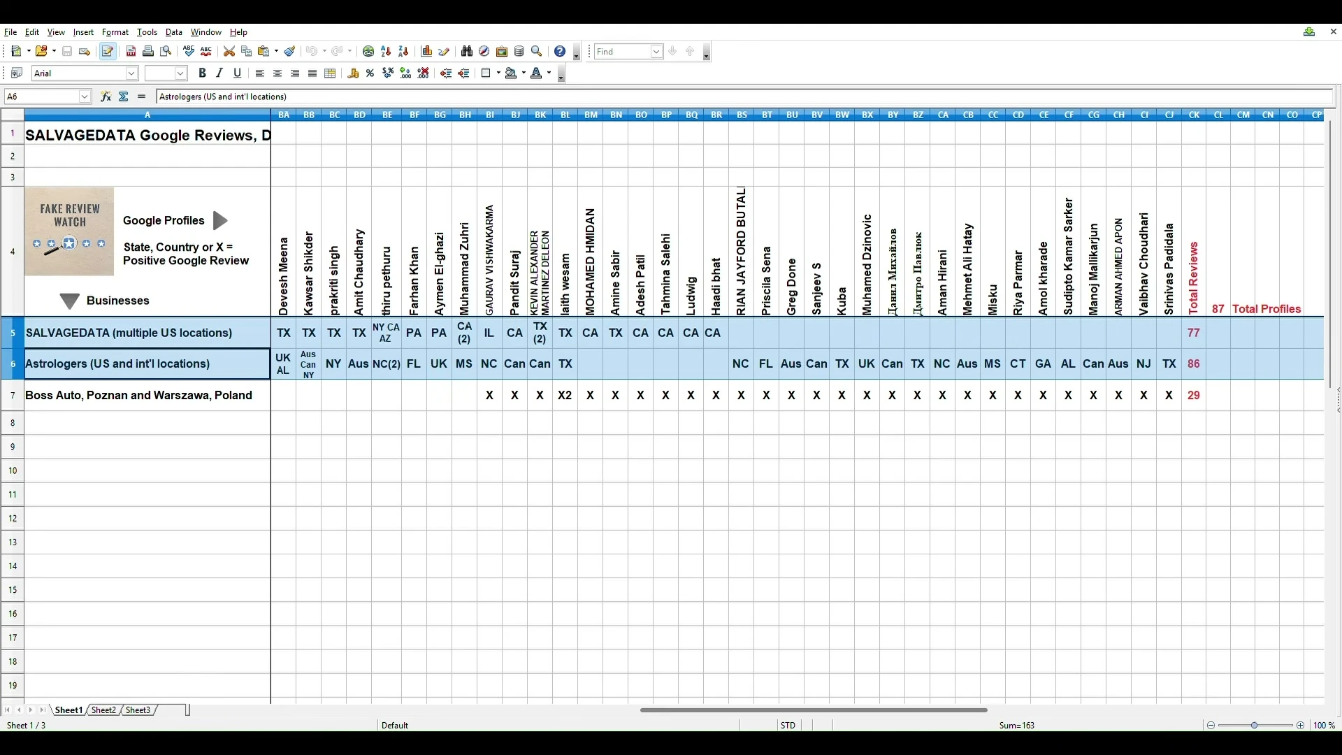 Spreadsheet titled SALVAGEDATA Google Reviews, Data Captured August 4-14, 2026, with Google account names across the top and three rows: SALVAGEDATA (multiple US locations) totaling 77, Astrologers (US and international locations) totaling 86, and Boss Auto, Poznan and Warszawa, Poland totaling 29, with 87 Total Profiles at the right.