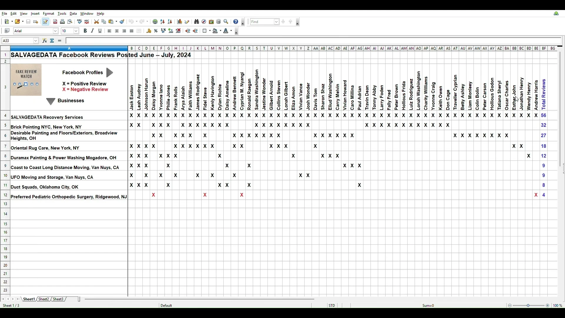 Spreadsheet titled SALVAGEDATA Facebook Reviews Posted June to July 2024, with 56 Facebook account names across the top and business rows down the side: SALVAGEDATA Recovery Services 56, Brick Pointing NYC 32, Desirable Painting and Floors/Exteriors 27, Oriental Rug Care 18, Duramax Painting and Power Washing 12, Coast to Coast Long Distance Moving 9, UFO Moving and Storage 9, Duct Squads 8, and Preferred Pediatric Orthopedic Surgery 4 in red.