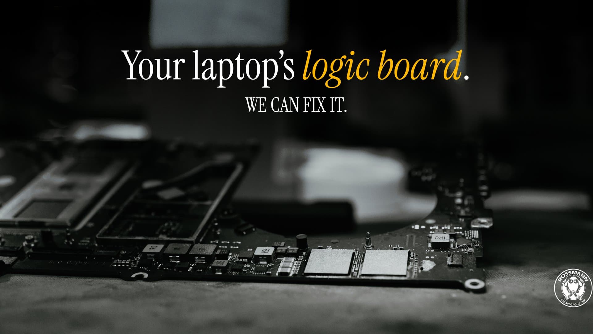 Logic board repair cover