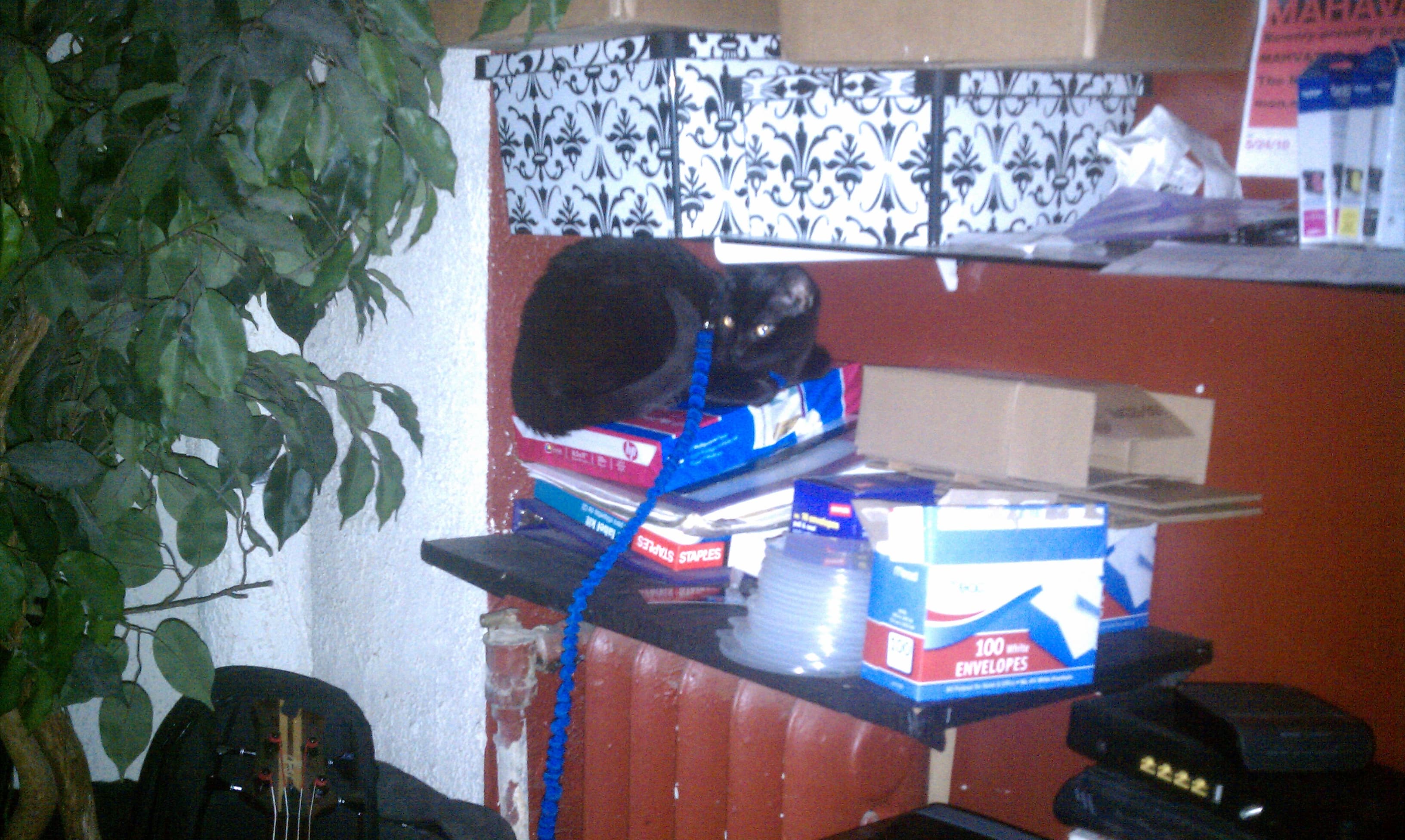 Mr. Clinton supervising