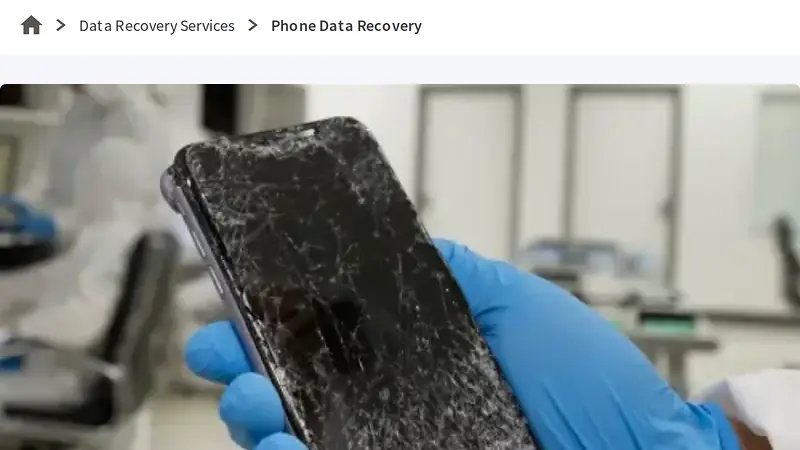 Screenshot of Secure Data Recovery evidence for finding TECH-001