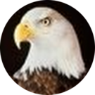 Anthony Carter Avatar